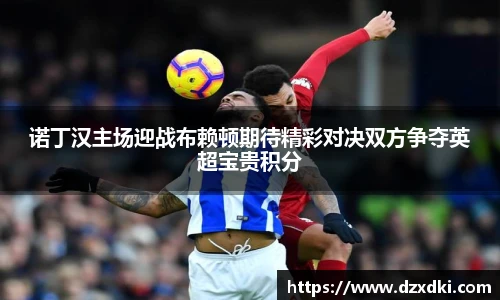 诺丁汉主场迎战布赖顿期待精彩对决双方争夺英超宝贵积分