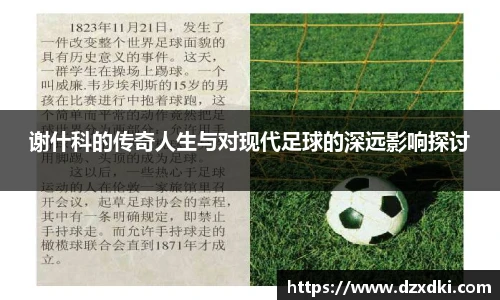 新利体育官网